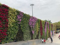 -深圳国际园林花卉博览园