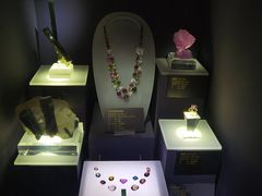 -湖南省地质博物馆