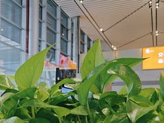 -贵阳龙洞堡国际机场-T2航站楼