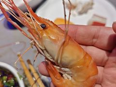 -奔海甄选·活鲜刺身铁板烧自助(太原里店)