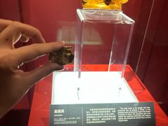 -金沙遗址博物馆
