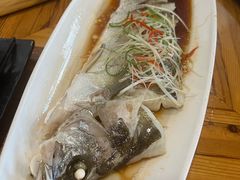 -院子餐厅·大锅菜·老杭帮(桥西直街店)