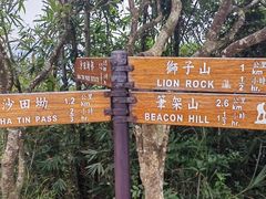 -狮子山郊野公园