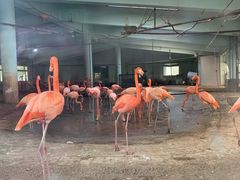 -石家庄市动物园