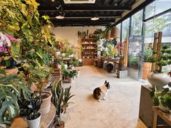 -自由生长植物工作室(深港花卉中心店)