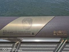 -星光大道