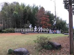 -千岛湖龙川湾
