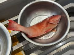 -北塘海鲜·天津菜(大光明桥旗舰店)