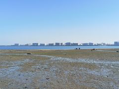 -集美鳌园景区