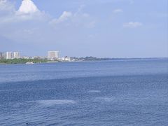 -野菌皇海景野生菌火锅(滨海大道店)