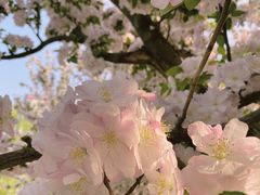 -海棠花溪(元大都城垣遗址公园)