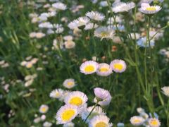 -常熟理文铂尔曼酒店