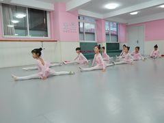 -蒲公英舞蹈艺术中心(解放路校区)