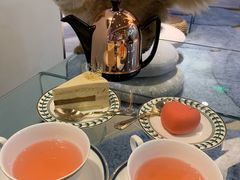 -momokira米努特·德文卷毛猫·棉花面纱犬