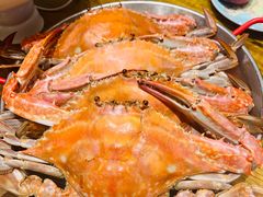清蒸海蟹-必点海鲜·鲅鱼水饺(鞍山西道店)
