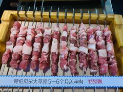 -很久以前羊肉串(昌里路三钢里店)