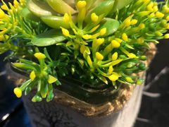 -南国会酒家(岗顶1站广场店)