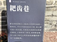 -碧江金楼