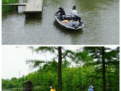 -上海长兴岛郊野公园