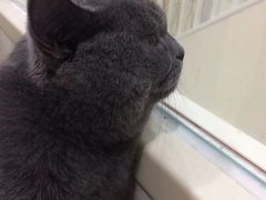 -子乐宠物医院