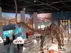 -国家自然博物馆