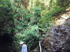 -大余丫山旅游度假区