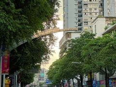 -梧州双钱龟苓膏(丽港航母店)