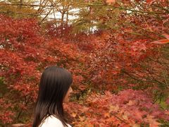 -田野绿世界