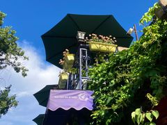 -Sirena海妖日咖夜酒