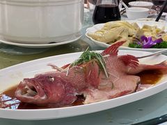 -泉龙渔村·粤式早茶·金牌烧鹅(中山三乡店)