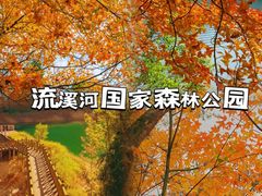 -广州市帽峰山景区