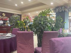 大堂-清雅轩·清真菜·传统菜•融合菜(滑翔店)