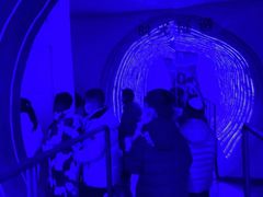 -朝阳公园游乐园