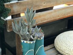 -北马山庄植趣咖啡