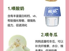 -博特宠物医院24h犬猫全科.骨科·异宠