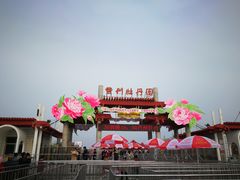 门面-曹州牡丹园