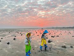 -北海金海湾红树林生态旅游区
