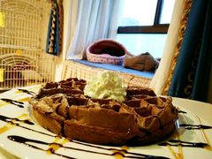 -猫咖时代(中山亭店)