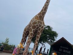 -西霞口神雕山野生动物世界