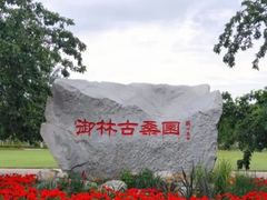 -御林古桑园