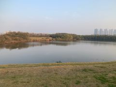 -盘龙城国家考古遗址公园