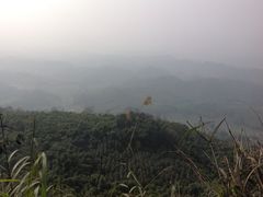 iphone_upload_pic-芦沟竹海