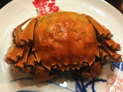 -丁莲芳(红旗路店)