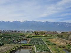 -爱膳菌锅锅(阳南店)