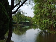 -共青国家森林公园-售票处