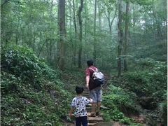 -波尔登森林公园
