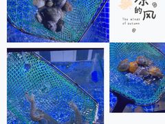 -三亚亚特兰蒂斯度假区
