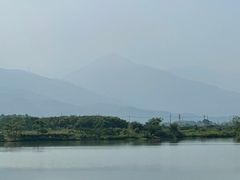 -三垟湿地