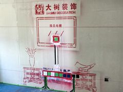 -大树装饰·十年本土家装