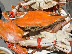 -一方渔歌蒸汽海鲜自助(文化路万达广场店)